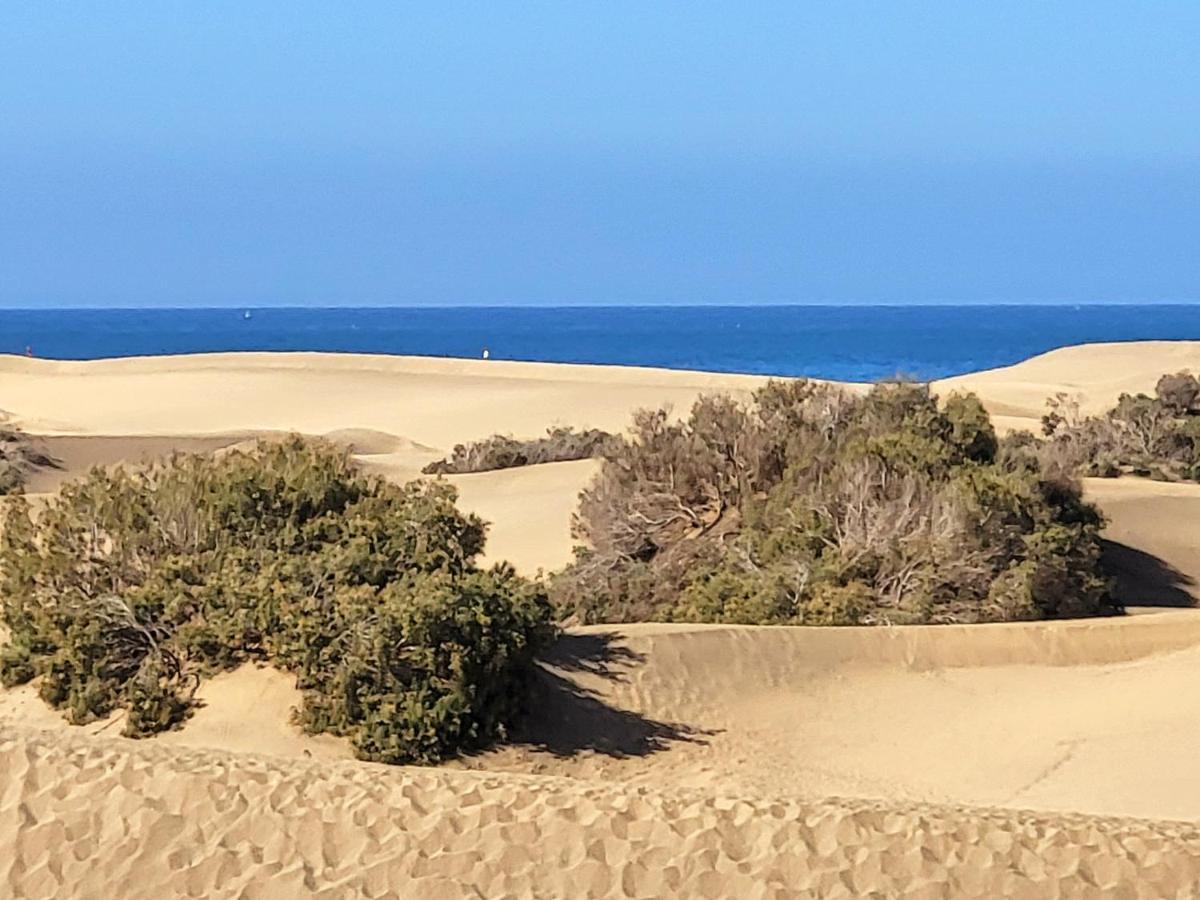 Apartament Taidia Tropical Maspalomas  Zewnętrze zdjęcie