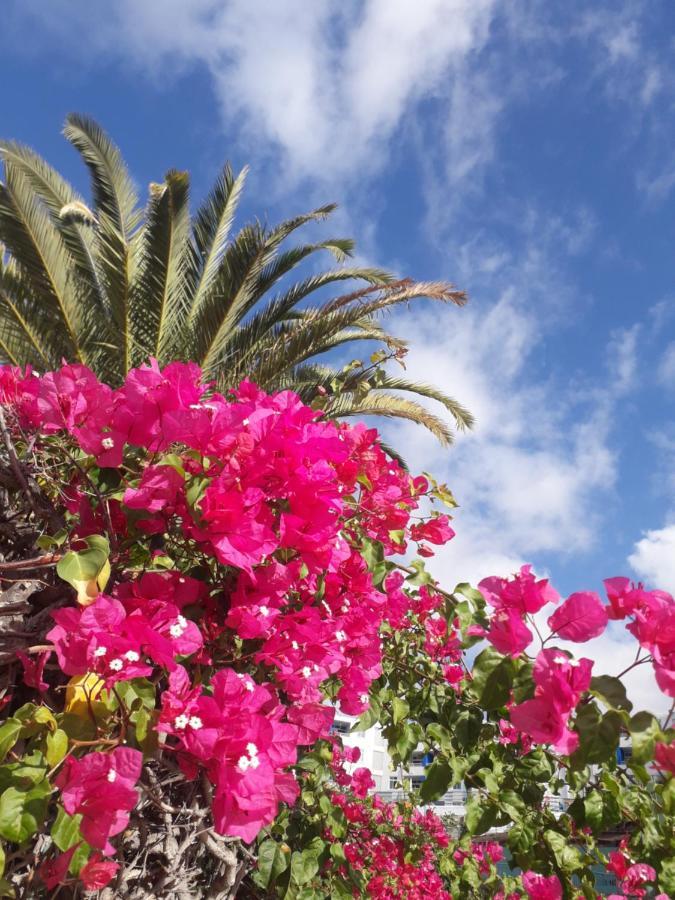 Apartament Taidia Tropical Maspalomas  Zewnętrze zdjęcie
